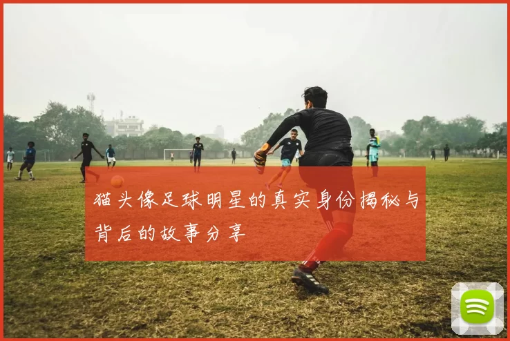 猫头像足球明星的真实身份揭秘与背后的故事分享