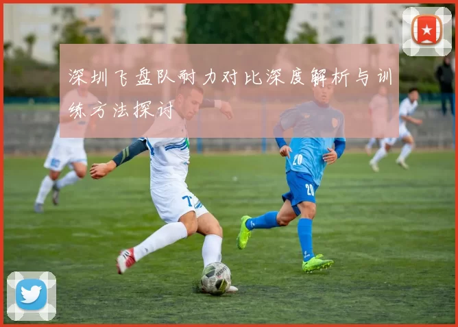 深圳飞盘队耐力对比深度解析与训练方法探讨