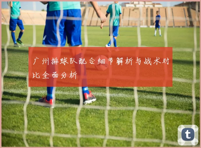 广州排球队配合细节解析与战术对比全面分析