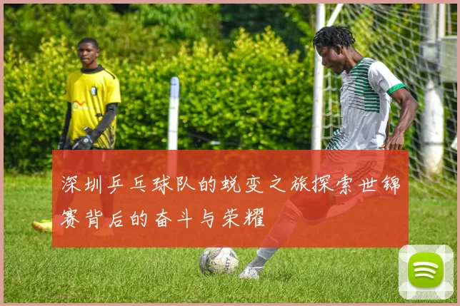 深圳乒乓球队的蜕变之旅探索世锦赛背后的奋斗与荣耀