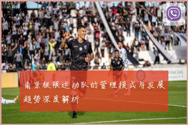 南京极限运动队的管理模式与发展趋势深度解析