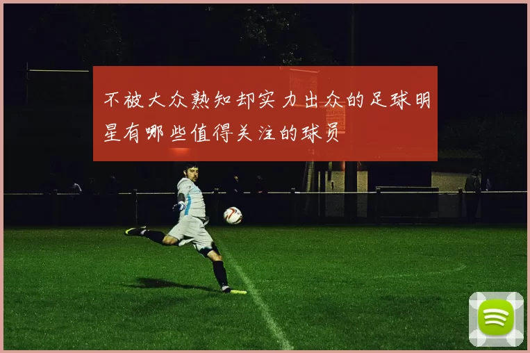 不被大众熟知却实力出众的足球明星有哪些值得关注的球员