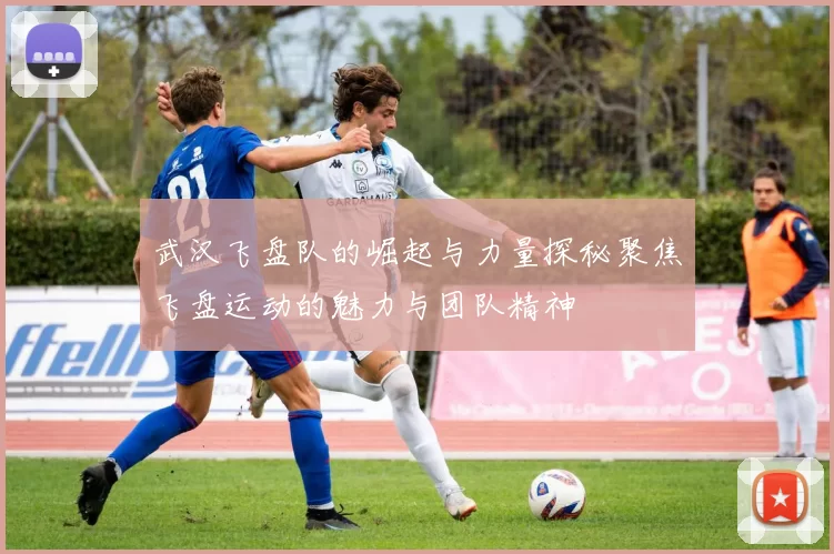 武汉飞盘队的崛起与力量探秘聚焦飞盘运动的魅力与团队精神