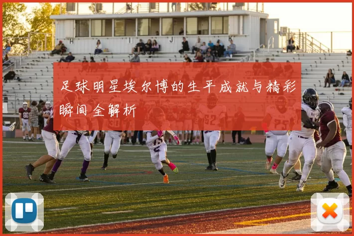 足球明星埃尔博的生平成就与精彩瞬间全解析