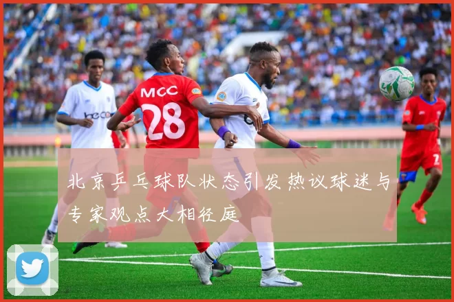 北京乒乓球队状态引发热议球迷与专家观点大相径庭