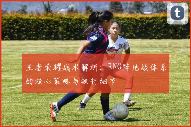 王者荣耀战术解析：RNG阵地战体系的核心策略与执行细节