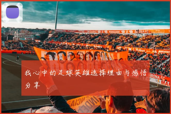 我心中的足球英雄选择理由与感悟分享