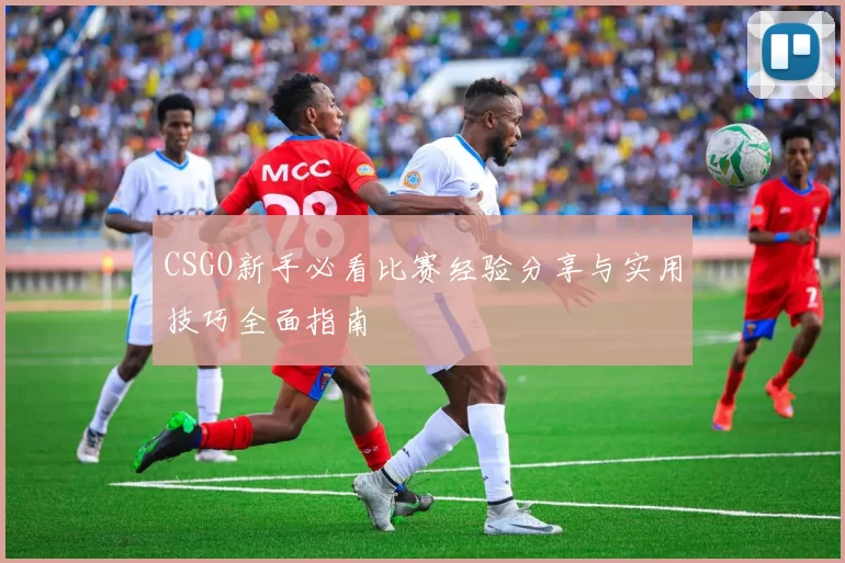 CSGO新手必看比赛经验分享与实用技巧全面指南