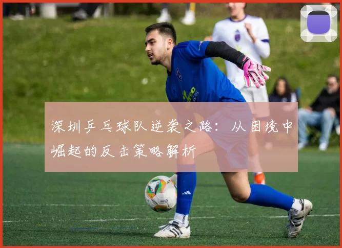 深圳乒乓球队逆袭之路：从困境中崛起的反击策略解析