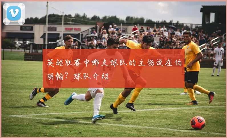 英超联赛中哪支球队的主场设在伯明翰？球队介绍