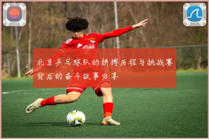 北京乒乓球队的拼搏历程与挑战赛背后的奋斗故事分享
