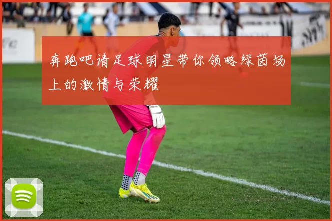 奔跑吧请足球明星带你领略绿茵场上的激情与荣耀