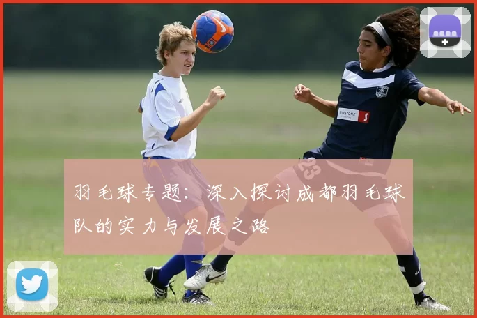 羽毛球专题：深入探讨成都羽毛球队的实力与发展之路