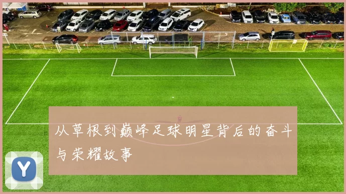 从草根到巅峰足球明星背后的奋斗与荣耀故事