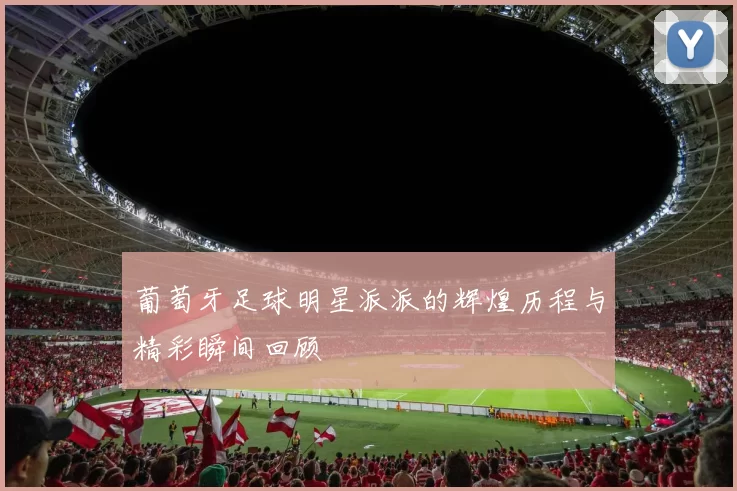 葡萄牙足球明星派派的辉煌历程与精彩瞬间回顾