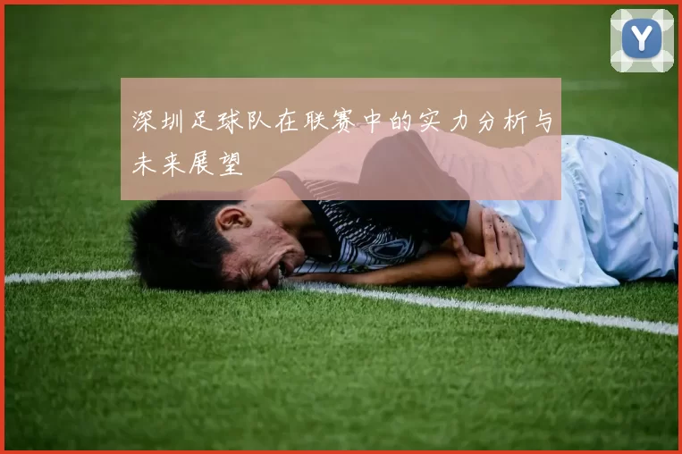 深圳足球队在联赛中的实力分析与未来展望