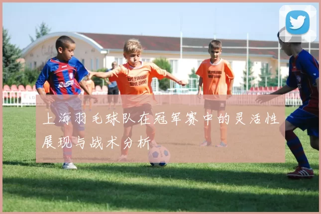 上海羽毛球队在冠军赛中的灵活性展现与战术分析