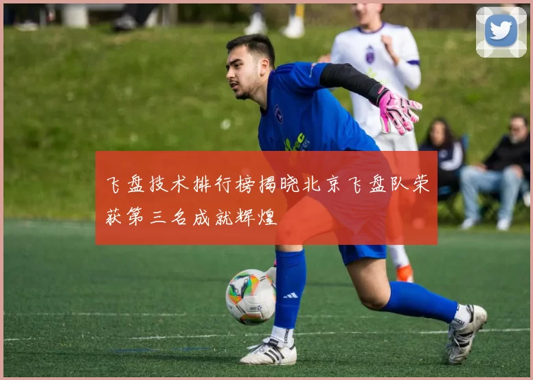 飞盘技术排行榜揭晓北京飞盘队荣获第三名成就辉煌