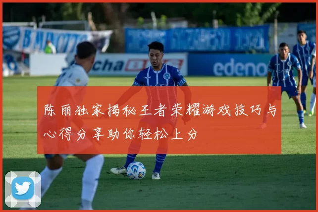 陈丽独家揭秘王者荣耀游戏技巧与心得分享助你轻松上分