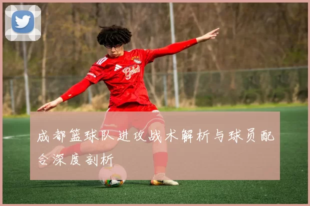 成都篮球队进攻战术解析与球员配合深度剖析
