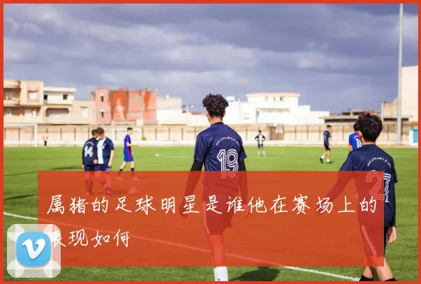 属猪的足球明星是谁他在赛场上的表现如何