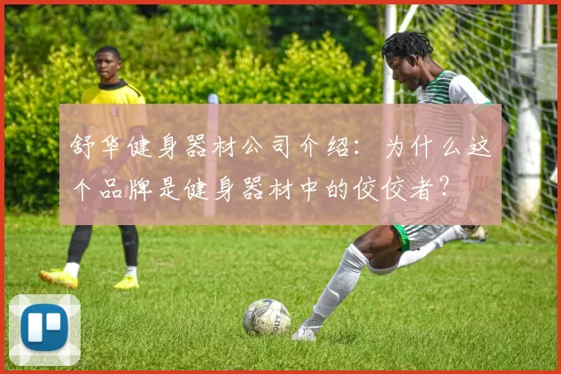 舒华健身器材公司介绍：为什么这个品牌是健身器材中的佼佼者？