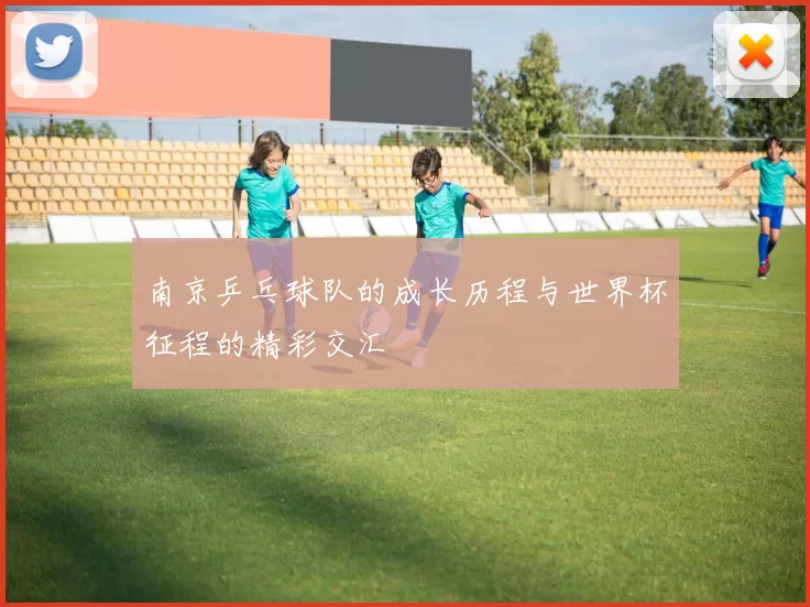 南京乒乓球队的成长历程与世界杯征程的精彩交汇