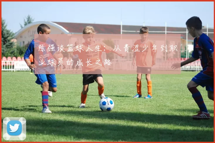 陈强谈篮球人生：从青涩少年到职业球员的成长之路