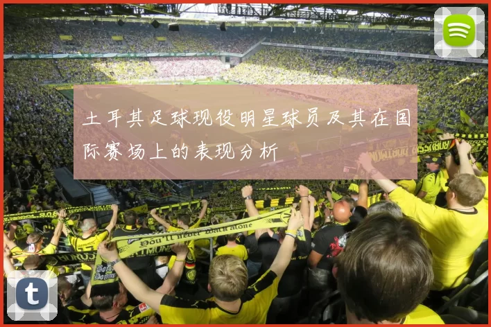 土耳其足球现役明星球员及其在国际赛场上的表现分析