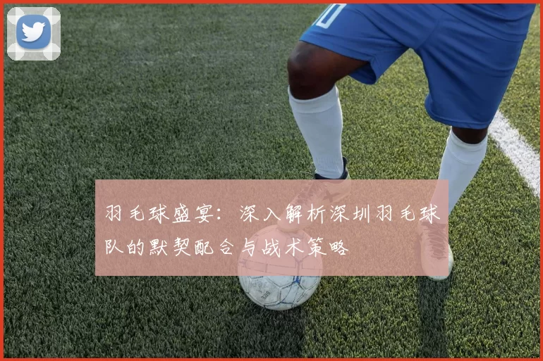 羽毛球盛宴：深入解析深圳羽毛球队的默契配合与战术策略