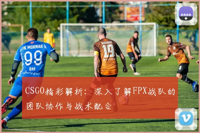 CSGO精彩解析：深入了解FPX战队的团队协作与战术配合
