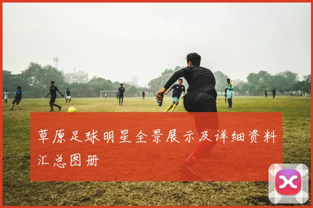 草原足球明星全景展示及详细资料汇总图册