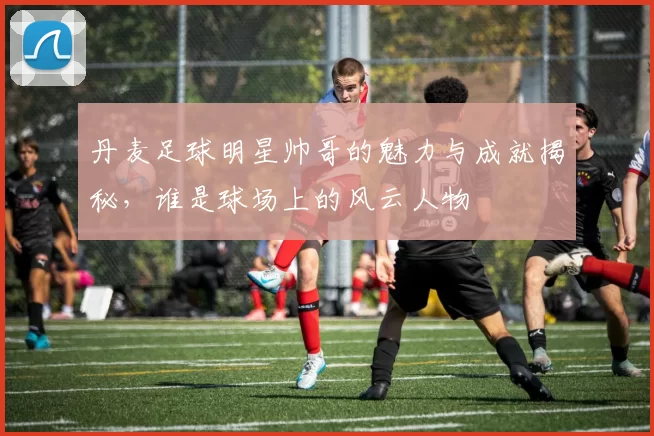 丹麦足球明星帅哥的魅力与成就揭秘，谁是球场上的风云人物