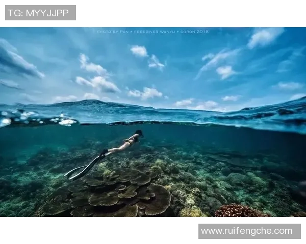 北京极限运动队的比赛经验革新与热议极限运动的未来发展探讨